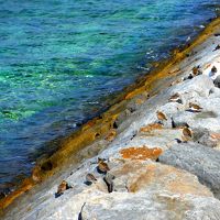 一人海旅　「粟国編」その３（いよいよ粟国島へ）