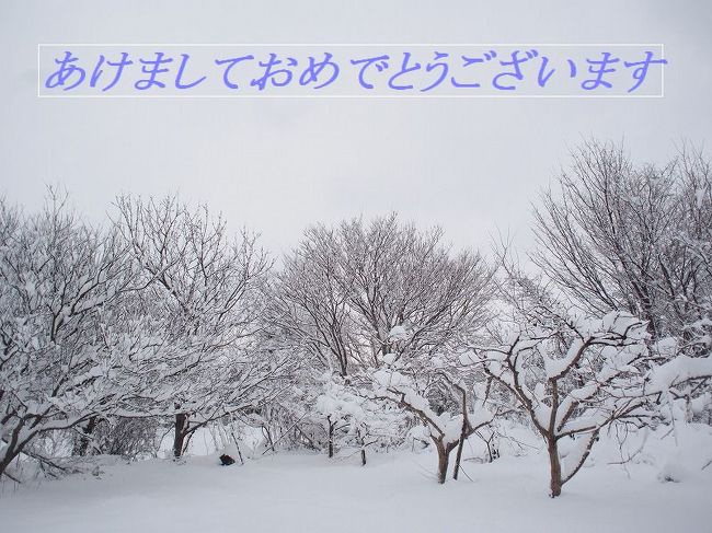 あけましておめでとうございます！<br />２０１５年もよろしくお願いします。<br /><br />今回も石川県に帰省してきました。<br /><br />今年はお正月から大雪が降って大変でした。<br /><br />車に積もった雪をはらい雪かきを経験したり、車が雪にはまって動かなくなったり。。。<br />雪国の大変さが少し分かったような気がします。<br /><br />それでも温泉に入って湯ったりしたり、おいしいお食事をお腹いっぱい食べて楽しいお正月を過ごすことができました。