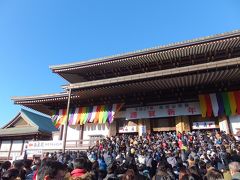 お正月に行く！！ ～成田山新勝寺～