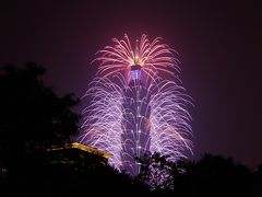 4回目のカウントダウン花火を見にー1日目