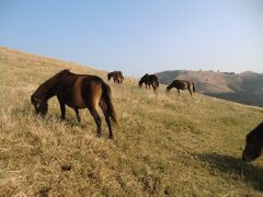 2014年12月　西国の旅　第４日　青島、宮崎、日南海岸、都井岬