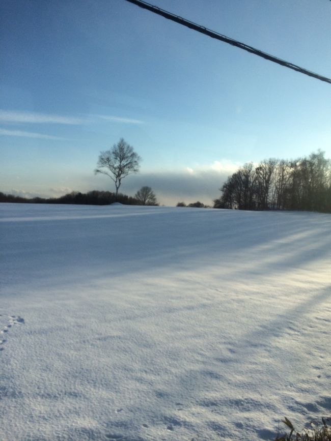 今回は実家の父をお見舞いしに札幌まできました。<br />ですから、そんなにグルメリポートはできませんが、北海道のあるあるを！<br /><br />あー寒い！新千歳空港に降りた時はほとんど雪がありませんでしたが、札幌市内へバスで向かうと雪景色が♪<br /><br />北海道らしくなりました(^_^)