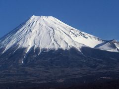 新春レッサーパンダ詣で再び静岡へ（１）東海道新幹線で元旦よりクリアな富士山を眺めながらアクセス編＆それなりにグルメ編＆日本平動物園の干支展でヒツジを学ぶ