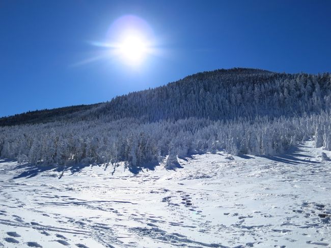 2014 ラスト・クライミング＆2015 スタート雪山　～手探りの縞枯山～