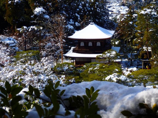 大雪が降り続いた２０１５年の京都のお正月。<br />２日の日に銀閣寺に出かけてきました。<br />おそらく２０数年ぶりにみる銀閣寺は記憶の中に残る銀閣寺ではなく白銀の中に立つ銀閣寺でした。