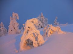 北欧の冬を体感する。フィンランド（＆エストニア、デンマーク）9日間　＜5日目、レヴィを滑る！夜はオーロラ☆＞