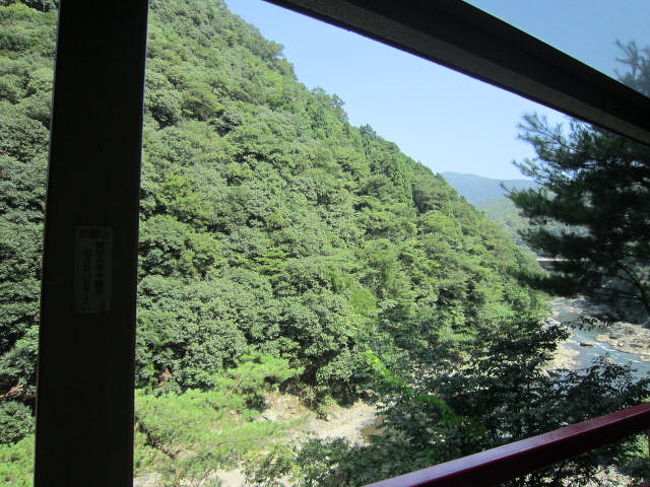 京都へ行こうと言われ、じゃぁトロッコ列車に乗りたい!ということで行ってきました
