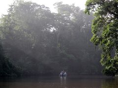 コスタリカ 生物多様性＆熱帯林（9/全12）： トルトゲーロ 猿と水鳥の楽園 ジャングル・クルーズ