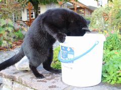 ザルツカンマーグートとドイツ南部の湖巡り 前編