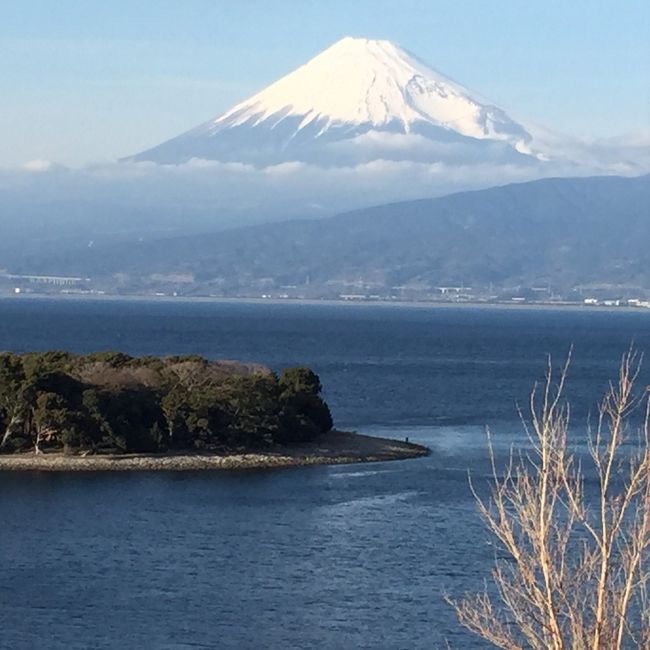 年の瀬に、一年の疲れを癒しに温泉に行ってきました。<br />伊豆長岡のホテルに2泊3日、ゆっくり、のんびり温泉にエステと美味しい食事、部屋からは富士山が綺麗に見えて、これぞ日本の年末といった、休暇になりました。<br /><br />一日目は、伊豆長岡に都内から昼過ぎに伊豆長岡に到着。伊豆に向かう高速では、富士山が綺麗に見えて良いドライブでした。<br />あらかじめ、調べておいた市内の寿司屋にランチに行きました。地元でも人気の店との事でかなり期待しての選択でしたが、残念ながら、小振りで一口で食べても口の中でもたつかない、握りが好みの私にはネタもシャリも大きすぎでした。ですが、都内よりは格安で新鮮なお魚がいただけます。<br />ホテルにチェックインして通された部屋からは富士山がくっきり見え、清々しい気分に！<br />一時間ほど、景色を眺めながら部屋で一休みしてから温泉に。大浴場は露天風呂が3種類と、内湯とサウナがあります。清潔に保たれた浴場です。泉質は柔らかくゆっくり入浴しました。<br />食事は、地元の幸がメインのコース料理と、サラダや一品料理のバイキングあり、野菜が十分に取れる嬉しいサービスです！<br /><br />二日目は残念ながら、雨が降り模様。昼前までホテルてのんびりし過ごしました。温泉やエステでリラックスしてから、天城へドライブ。幸い雨も止みしっとり湿った天城峠は風情があります。<br /><br />三日目は、沼津に立ち寄り、活気のある市場でお正月の買い物をし、美味しいかき揚げを食べて、お腹も気持ちも大満足の温泉旅になりました。