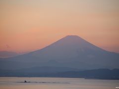 ２０１５年の初詣は江の島へ：初富士♪初チューリップ♪初夕陽♪