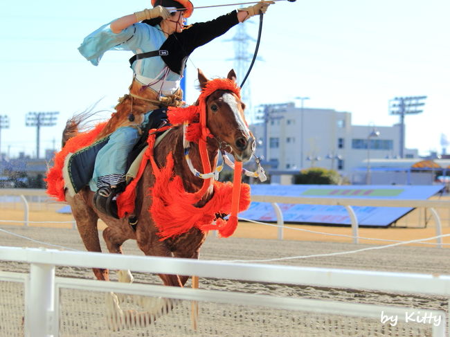 お正月だから、お正月っぽい日本の伝統行事から新年を始めたい♪<br />川崎競馬場で流鏑馬騎射式をやっているのを見つけたので見に行ってみた。<br /><br />昨年の10月に続き競馬場は2回目だけど、流鏑馬を見るのは初めて！<br />鎌倉時代の装束がカッコいい☆☆<br />騎射式は難しそうだけど上手く撮れるかなあ…？<br />そして騎射式の後には通常のレースもやってるみたいなので、また流し撮りにも挑戦。<br />前回よりは上手く撮れたかも！？<br /><br />地方競馬の川崎競馬場は東京競馬場よりさらにゆる〜い感じでのんびりできたし、馬も近くで見れるので撮影の練習には良い場所かも。<br />あとは大井競馬場で馬に乗る猫見たい♪<br /><br /><br />☆川崎競馬場↓<br />http://www.kawasaki-keiba.jp/