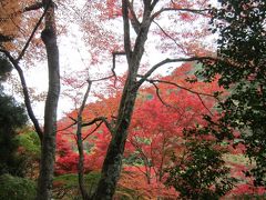 山陽・山陰地域周遊の旅　最終日その２　～　旅最高の紅葉　鼓ヶ滝公園　～