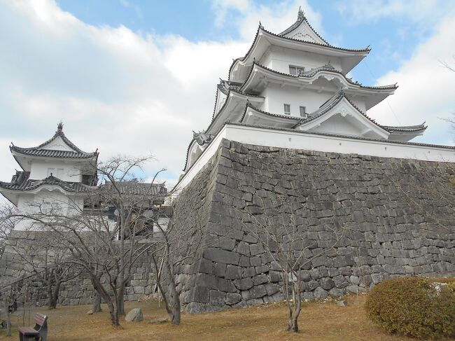 四方を山々に囲まれた伊賀盆地の中央部を流れる柘植川と木津川を外堀とする伊賀上野城(いがうえのじょう、三重県伊賀市上野丸之内）は豊臣秀頼勢力と対峙するなか、やがて来るであろう豊臣方との決戦に備えて外様ながら信任厚い藤堂高虎（とうどう・たかとら、１５５６～１６３０）は家康の命を受けて慶長１６年（１６１１）から筒井古城の本丸よりも西側に広げた位置を新たな本丸とした新城を建造ります。<br /><br />戦国時代における伊賀国は有力大名の勢力圏外の空白地であり国人土豪が割拠している状況で、天正９年（１５８１）織田信長の二男織田信雄（おだ・のぶかつ）の当地域への進攻によって信長勢力圏に呑みこまれ、家臣である滝川雄利（たきがわ・かつとし、１５４３～１６１０）の統治するところとなり拠点をを構えるに当たっては、先の戦乱にて焼け落ちた寺院（平楽寺）の跡に築かれた館が伊賀上野城のはじまりでありました。<br /><br />天正１３年（１５８５）天下統一を果たした秀吉により大和国の筒井順慶（つつい・じゅんけい）没後相続した定次（さだつぐ、１５６２～１６１５）は他所領８万石を含む２０万石を以て伊賀国に国替えとなり、早速に領地経営の拠点として天正１５年（１５８７）から雄利の城館跡に新しく城郭を築き、本丸には三層の天守を設け、西に二の丸、北の山下には三の丸を配し文禄年間に完成に至ります。<br /><br />慶長１３年（１６０８）８月、伊予今治から藤堂高虎が伊賀国１０万石、伊勢国の内１０万石、伊予国の内２万石合わせて２２万石を以て転封し初代津藩主就任、その背景は紀伊や大和の反徳川勢力の抑えと目前に迫る豊臣家討伐に備えるためです。<br /><br />豊臣方との決戦に備え慶長１６年（１６１１）正月、有事の城として高虎自らが縄張を自ら指図して本丸を西に拡大し広大な高石垣を巡らせます。<br /><br />然しながら竣工直前の五層の大天守閣は慶長１７年（１６１２）９月の大暴風より倒壊します。<br /><br />一方慶長１９年（１６１４）の冬の陣、元和元年（１６１５）の夏の陣では徳川方の勝利に終わり豊臣秀頼以下は自害により豊臣家は滅亡します。大坂の陣の後、高虎は更に加増され、伊賀・伊勢・伊予・山城・大和の５ケ国中で３２万石を領有するに至ります。<br /><br />その後幕府は諸大名の城普請を厳しく禁止したため伊賀上野城の天守閣の再建はなされなかったものの伊賀の城として存続、高虎は弟高清（たかきよ、１５８５～１６４０）を城代として配し以降藤堂氏の領国支配が行われます。<br /><br /><br />２０２３年６１０月８日追記<br /><br />現地入手のパンフレット「伊賀上野城」には下記のように記されています。<br /><br />『　伊賀上野城の沿革<br /><br />”忍者の里”と呼ばれる伊賀国は、山に囲まれた九里四方の小さな盆地、その中心は上野城下町である。町の北端の丘には、白亜三層の伊賀上野城が、静かな雰囲気を醸しながら、端麗な姿を見せていて、白鳳城の雅号がある。<br /><br />天正１３（１５８５）年、伊賀の国を領した筒井定次が三層の天守を築き、北に表門を構えた。豊臣秀吉の没後、徳川家康が関ヶ原の戦いに勝ち、豊臣政権の継承者としての地位を確立するに及んで、慶長１３（１６０８）年、定次を失政を理由に改易、藤堂高虎が伊賀・伊勢の城主として伊予今治から移り、自ら縄張りを指図、本丸を３０mの高石垣で囲み、筒井古城を大拡張した。しかし竣工直前の五層大天守は、慶長１７（１６１２）年９月２日の暴風雨で倒壊、そのうち大坂夏の陣で豊臣方が滅亡したので城普請は中止され、城代家老が執政することとなった。<br /><br />現在の天守は、昭和１０（１９３５）年、地元の名士川崎克氏が私財を投じて純木造の復興天守を再建、伊賀文化産業城と称した。城跡は昭和４２（１９６７）年に国史跡に、天守は昭和６０（１９８５）年に伊賀市の文化財に指定されている。』<br /><br /><br /><br />次に「伊賀上野城」と題した冊子には外様ながら徳川家康より厚い信頼を得ている築城の名人藤堂高虎について紹介されています。<br /><br />『　藤　堂　高　虎<br /><br />藤堂高虎は、弘治２年（１５５６）１月６日、江州犬上郡在士村に出生、元亀元年（１５７０）浅井長政に仕え、姉川の戦いに初陣する。その後、阿閉貞征、磯野員昌、織田信澄に仕えた後に浪人となったが、天正４年（１５７６）木下秀長に３百石で招かれた。その後、秀長の信任を得て家老まで昇りつめる。天正１４年（１５８６）小牧・長久手の戦いの後、豊臣秀吉に臣従を誓った徳川家康は、聚楽第に邸地を与えられ、この時、秀長の命を受けた高虎が家康の居館を造営、この時から家康と親しい関係が始まる。<br /><br />天正１５年（１５８７）秀吉の九州征伐の時、秀長に従って九州各地を転戦、宮部継潤が島津家久の軍に攻め込まれ苦戦していたのを寡兵をもって島津軍を破り継潤を救った。この手柄で秀吉からも１万石の加増を受けて合計２万石の大名並みの知行を受けることとなった。<br /><br />天正１９年（１５９１）秀長が逝去、養子秀保を助けて朝鮮の役に従軍、文禄３年（１５９４）秀保が変死し高虎は、高野山に隠遁する。しかし高虎の才を惜しむ秀吉から再三の招聘に応じて下山、伊予国板島（宇和島）７万石を与えられる。<br /><br />慶長３年（１５９８）秀吉が逝去、秀吉恩顧の武将の対立が激化するなか、関ヶ原の戦いが始まり高虎は東軍に加わり大功をたて、功により一躍伊予半国２０万石の大名になった。この時から家康との関係が深くなり外様大名ながら譜代大名以上の信頼を受け、慶長１１年（１６０６）には、江戸城の縄張りを命じられる。<br /><br />慶長１３年（１６０８）伊予から伊賀・伊勢へと転居、大坂の豊臣秀頼への備えという任務を与えられる。それだけ家康の信頼が厚かったことが伺える。伊賀上野城は、大坂との戦いが不利の場合、家康を上野に迎えるための重要な城であったので、高虎の築城術を駆使して高さ日本一といわれる高石垣を築いている。<br /><br />高虎は、自城の宇和島、大州、今治、上野、津の他、天下普請といわれる膳所、江戸、篠山、丹波亀山、二条、大坂など数多くの城の縄張りを担当している。元和２年（１６１６）家康が逝去、命により日光に廟を造営するにあたり、造営奉行を務めるなどの功により、３２万９５４石余の大大名となる。寛永７年（１６３０）１０月５日、江戸の柳原藩邸で逝去、享年７５歳。』