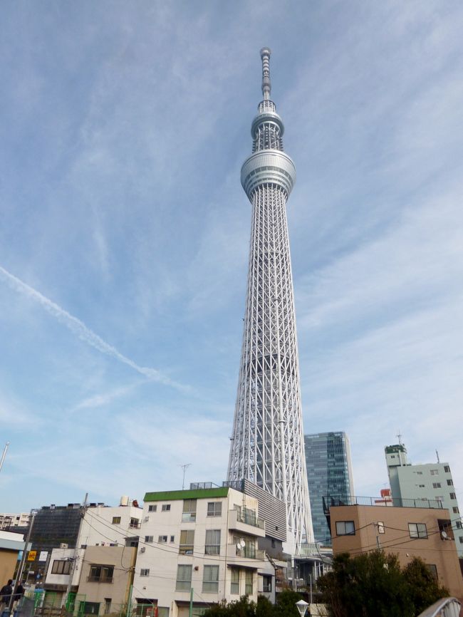 年末は東京観光で浅草に行って来ました。<br /><br />車で上京した時も、海外旅行にいく成田エクスプレスからも<br /><br />今まで何度もスカイツリーは見ています。<br /><br />なのに、スカイツリー・メインで観光をしたことは今回が初めて。<br /><br />っつーか、浅草寺目的で行ったら、すぐそこにスカイツリーがあったと言うのが<br /><br />本当の理由だったりして(´艸｀*)