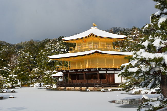 金閣寺の2014年12月31日と2015年1月3日の雪の風景です。<br />年末に訪問した時は、まさか三日後にまた訪問することになるとは思ってもいませんでした。<br />1月3日の積雪20cm越えの大雪は61年ぶりとか・・・私の年齢と同じですね！<br />ということは私もそれくらい古いということか・・・なるほど！<br />（とへんなところで納得？）<br />3日は朝6時半に起きて7時20分のバスに乗って金閣寺の開門に合わせました。<br />前日の2日の日も雪でしたが体調不良のため動けずTVで雪の金閣寺を指をくわえて見ていました。<br />天気予報を見ると2日の夜は0℃で夜間に雪の予報<br />もしかしたら3日も雪の金閣寺を見ることができるかも・・・と思い切って行ってみましたが<br />こうも思ったとおりの風景を撮影できるとは「こいつあ　春から　縁起がいいわい！」<br />おみくじは「凶」でしたが・・・(*&#39;ー&#39;*)ふふっ♪