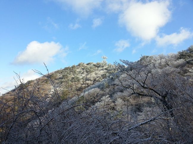 ここ数年恒例の元旦早朝六甲登山。今年は昨年大晦日に降った雪で山頂に続く尾根道が雪でしっかり覆われてました。