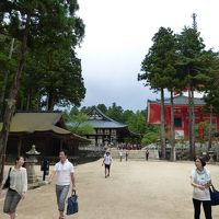 「高野山」・・・日本屈指の聖地で巨大な宗教都市。この手の都市は、日本にそうそうないですよね。