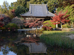 長岳寺（天理市）＆正暦寺（奈良市）の紅葉