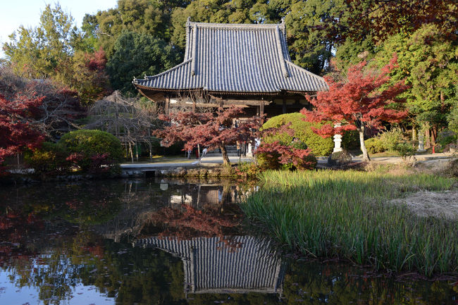 見頃の紅葉を求めて、奈良県へ出掛ける。<br />訪ねたのは、談山神社（桜井市）、長岳寺（天理市）、正暦寺（奈良市）です。<br />この旅行記は、長岳寺、正暦寺の旅行記です。<br /><br />談山神社を楽しんだ後、長岳寺へ。　<br />長岳寺では、「大地獄絵図」が開帳されていました。　<br />この地獄絵は毎年10月23日から11月30日まで本堂にて開帳されます。<br />地獄絵は写真撮影禁止です。<br /><br />１７時前でしたが、紅葉が見頃の正暦寺にも立ち寄る。<br />寺を後にする頃は、辺りは真っ暗でした。　<br />駆け足で巡った紅葉の奈良３寺です。<br /><br />・長岳寺<br />　春のつつじや秋の紅葉と、四季折々に美しいたたずまいをみせる長岳寺は、天長元(824)年、淳和天皇の勅願によって空海(弘法大師)が開いたと伝えられる名刹で、俗に釜ノ口(かまのくち)のお大師さんとして親しまれています。中世の盛時には、広大な寺領と堂坊を有し、真言密教の大道場として知られていました。廃仏毀釈でさびれたものの、わが国最古の玉眼仏である本尊の阿弥陀三尊像をはじめ、貴重な文化財がよく伝えられています【ナビ天理より】<br /><br />・正暦寺<br />　正暦3（992）年、一条天皇の発願により、関白九条兼家の子兼俊が創建。 10世紀創建の名刹といわれ、山の辺の道から山中に入ったところにある。かつては86あった坊も、現在では、本堂、福寿院、坊舎跡に残る石垣のみとなっている。白鳳時代の秘仏として本尊の薬師如来倚像（重要文化財）が知られている。境内には楓が多く、奈良でも有数の紅葉の名所として古くから親しまれている【大和路アーカイブより】<br /><br />・拝観料　<br />　　　長岳寺　３５０円　　　<br />　　　正暦寺　５００円　　<br />・駐車場料金<br />　　　長岳寺　無料　<br />　　　正暦寺　５００円<br />　　　　　　　（11月初旬〜12月初旬の紅葉の時期のみ）<br /><br />・長岳寺のＨＰ<br />　　　http://www.chogakuji.or.jp/　　　　　　　　　　　　　　　　　　　　　　　<br /><br />・正暦寺のＨＰ<br />　　　http://shoryakuji.jp/