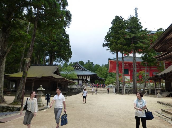 　 和歌山県にある世界遺産「高野山」。日本屈指の聖地で巨大な宗教都市は、さすがに見どころ沢山！時間がいくらあっても足りませんでした。<br />　 そして、泊まりは和歌山市で。そうくれば、和歌山市近郊も観光・・・となるのは当然の流れですよね。