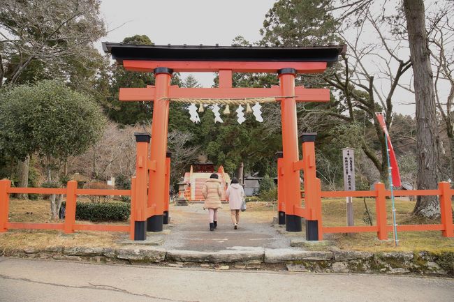 平池緑地イルミネーションをもう一度<br />撮影したくて＆少し足を伸ばし神社にも<br />行って来ました