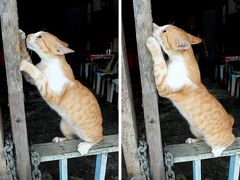 クチンの旅行記