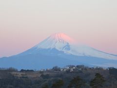 年越しは伊豆でのんびり（ちょっとどたばた）してきました。