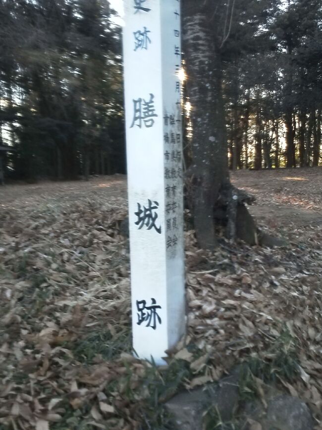 上毛鉄道膳（ぜん）駅から北進し粕川歴史民俗資料館に向けて徒歩で約１５分、膳城（ぜんじょう、群馬県前橋市粕川町）は赤城山麓の小丘陵を利用して造られた小規模城郭です。<br /><br />最初の城主は善（ぜん）氏と伝えられ、鎌倉幕府問注所執事であった三善康信（みよし・やすのぶ、１１４０ー１２２１））の後裔といわれ１５世紀中頃の築城と推定されています。<br /><br />戦国時代では越後の上杉、甲斐の武田、小田原の北条など戦国大名による覇権争いの地となるなか天正８年（１５８０）に武田勝頼の攻撃によって落城しその後廃城となります。<br /><br /><br />本丸跡に設置の説明板によれば次の通り記されています。<br /><br />「群馬県指定史跡　膳城跡<br /><br />膳城跡は、兎川と湧水による湿潤な谷地の間の丘陵性台地の先端部に位置する。南北約５５０ｍ、東西約３００ｍほどの範囲の中に濠や土塁をめぐらし、本丸の他、数区画からなる郭を形成している。<br /><br />この城の築城年代は明らかではないが、鎌倉時代の文書に既に、「善」氏の名が見える。しかし、この膳城に居住していたかについては明らかではない。その後、室町時代から戦国時代にかけての文書にも「善」氏は度々登場する。戦国時代には、関東地方の覇権をめぐる北条、上杉、武田の戦記物語に度々「膳」の名前が現れる。現在見ることのできる膳城の姿が形成されたのは、この戦国時代末期と考えられる。特に天正８年（１５９０）の武田勝頼による東上州進攻の際の、膳城をめぐる攻防戦は「膳城素肌ぜめ」として著名である。膳城はこの戦いの後、廃城となったと伝えられる。本丸周辺の濠、土塁等は当寺の姿を良く残している。」　群馬県教育委員会<br /><br /><br />問注所：鎌倉幕府の三つの中央機関は、御家人を統制する侍所（さむらいどころ）、一般政務や財政事務を司る政所（まんどころ）と共に裁判事務を担務するのが問注所（もんちゅうじょ）で、「執事」は問注所の長官の職名で、三善康信は初代長官となります。信康の経歴としては太政官の書記役を世襲する下級貴族であり、信康の母親は頼朝の乳母の妹にあたり、その縁から鎌倉へ下向して頼朝を補佐するようになります。