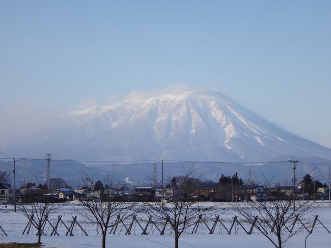 はたして、旅行と言えるかどうか心配だけど、九州旅行の準備としてお許し頂きたいと思います。<br />1月11日(日)天気も良く、旅行記も暫くご無沙汰しており、何か無いか模索していた所、娘が盛岡へ行きたいと言うので、これをネタにしようと行って来ました。<br />云わば『九州の名物物産展』です。<br />行った気分で旨い物めぐりですので食べ物が多いです。<br /><br />高速道路盛岡南ICを降りた付近からの『岩手山』<br />例年より雪が少ない。