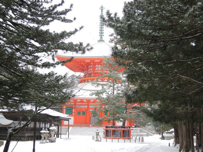 二泊三日で和歌山 高野山を訪れました。今回はピーチの成田・関空往復1万円の便を利用しましたが、成田まで関空からの移動がやっぱり不便でした。<br />高野山の宿坊に二泊して心休まる時間が過ごせました。