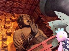 「そうだ！奈良へ行こう。」ってことで行ってきました～♪2014年12月