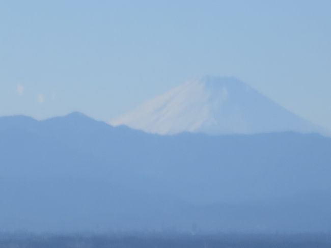1月12日月曜日、成人の日でした。午後になっても晴天が続き富士山が眺められそうだったので、ちょっとした用事を済ませた後都庁の展望室に上ってきました。特に混雑も無く景色を楽しんでくることができました。
