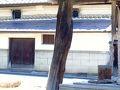 渋川の旅行記