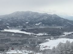 一晩で80cm。何十年振りかの新雪SKI   2015年 1月