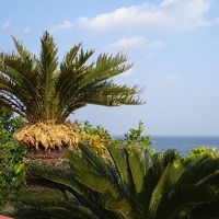 宮崎で年越し、お正月は霧島温泉で過ごした年末年始の久しぶりの家族旅行（1）