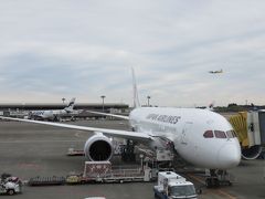 【ＪＡＬＢ７８７】２度目のインド短期決戦！？の旅−１「初！ＪＡＬのＢ７８７に感動」編