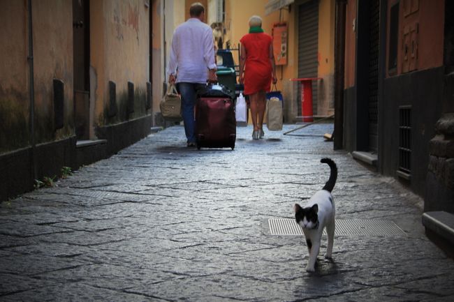 2014年６月２０日から２９日までの１０日間、私としては８度目になるイタリア旅行に出かけました。<br /><br />今回は、ずっと憧れては居たものの、なかなか勇気が出ず先延ばしにしていた、ナポリ行きを決行。<br />それに含め、カンパーニャ州の主だった所を、出来るだけ回ろうと計画しました。<br /><br />欲張りすぎた面もあり、いささか消化不良の部分も残したけれど、初めて、自力で、１００％計画しての旅行に手応えを感じました。<br />イタリア人の、面倒見の良さ、優しさ、コミュニケーション能力の高さに助けられ、気持ちの良い滞在になりました。<br /><br />それにしても、ナポリの街のエネルギーと凄まじいカオスを目の当たりにし、最初の２日間位は悪酔い状態。<br />３日位経つと、押し寄せるような車の流れの中を上手く歩けるようになり、不思議と、ゴミの山も目に入らなくなっていったのです。<br />欲張り過ぎで、十分な滞在とならなかった街もあり、帰国して間もないのですが、またいつか再訪したいと言う気持ちがフツフツと湧いてきています。<br />イタリアから帰ってくると、いつもの事なんですが。。。<br /><br />今回の旅行のスケジュール<br />６/２０(金）　成田13：15発　アリタリア ローマ(FCO)１９：００着　　　　　　　　　　ローマ(FCO)21:15発　　　ナポリ22:10着　<br />　　　　　　　(ナポリ泊)　　　　　<br />　　　　　　　　　　<br />６/２１(土）　カゼルタ　ナポリ〜fs線カゼルタ 王宮と庭園 <br />　　　　　　　(ナポリ泊)　<br /><br />６/２２(日）　プローチダ島　ナポリ,ベヴェレッロ港〜フェリー往復<br />　　　　　　　 プローチダ観光(ナポリ泊）<br /><br />６/２３(月）　 ナポリ〜ヴェスヴィーオ周遊鉄道でポンペイ〜ソレント　　　　　　　 　ポンペイ、ソレント観光(ソレント泊）<br /><br />６/２４(火)　　 ソレントからフェリーでカプリ島　青の洞窟カプリ観光<br />　　　　　　　　(アナカプリ泊)<br /><br />６/２５(水)　　 アナカプリ〜マリーナグランデ〜フェリーでポジターノ<br />　　　　　　　　アナカプリ、アマルフィ、ラヴェッロ観光〜サレルノ〜ナ　　　　　　　　ポリ　(ナポリ泊）<br /><br />６/２６(木)・２７(金）　　ナポリ観光　(ナポリ泊）<br /><br />６/２８(土)　 ナポリ出発１２：３０　ローマ経由<br /><br />６/２９(日）　　 東京成田到着１０：２５<br /><br /><br />ソレントの旅行記を１年半ぶりに書いています。<br />今まで、書かなかったのは何故かと言うと、あまりにさらりと通り過ぎてしまって、旅行記に書くべき事が無いような気がしていました。<br />特にドゥオーモのはめ木細工の写真を失敗してしまって、それが大きなショックとなって、今回のソレント滞在の記憶が気持ちの良い物でなくなってしまったからかな。。。<br /><br />ただ、ずっと気に入っている写真が一枚あったんです。それが表紙にした写真です。<br />別にソレントで無くってもありそうな風景だし、ブレてるような、ボケてるような写真なんだけどね。だけど、何故か捨てられません。<br /><br />だから、その写真の為にも、旅行記書こうかな、と思った訳です。<br /><br /><br /><br />