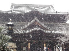 雪の粉河寺