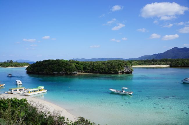 2014年8月のある日にハッ！と気がつく。今日はANAの元旦（を含む）チケットの発売日だった・・<br />2015年もANA修行をする予定なので・・<br />慌てて確認するも狙っていた札幌-那覇便は既にキャンセル待ち状態。<br />どうしよう・・・あっ！名古屋-石垣便ならまだ空きがある。<br />折り返し便は約4時間後か・・石垣空港に一人で4時間はやや辛いし、街に出ても元旦に一人じゃねぇ・・<br />オットを誘ってみる。<br />二つ返事で「行く！」<br />運転手が居るのでレンタカ−を予約して・・去年曇天で残念だった川平湾にでも行ってみる？<br /><br />時が過ぎ、2014年の大晦日。<br />朝から明日元旦の天気は大荒れとニュ−スで言っている。<br />もし雪でも積もったら空港まで辿りつけないだろうし、そういえば以前セントレアは強風で欠航が相次いでいたなぁ・・<br />ANAのHPを確認すると、運航見通しのペ−ジに赤字で「名古屋（強風）」とある。<br />初めての経験でよくわからないけど、飛ぶ飛ばないにかかわらず変更、払戻しができるみたい。<br />せっかく取ったお値打ちチケットを払戻してもねぇ・・じゃあいつに変更しようか？<br />先の天気のことはわからないので、近日中の晴れマ−クと都合の良い日と言えば4日しかないけど・・<br />行きは余裕、帰りは・・連休最終日であと3席しかない、急げ！<br /><br /><br /><br />