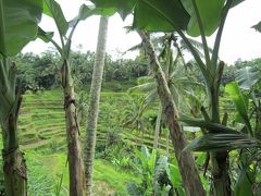 年末年始インドネシア家族旅行②ウブドへ