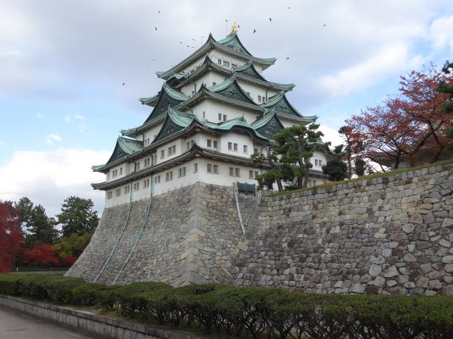 名古屋城に行ってきました。<br />「１６０９年」に「徳川家康」が「天下普請」で造らせました。 <br />「徳川御三家」の一つでもある「尾張徳川家」の居城でした。