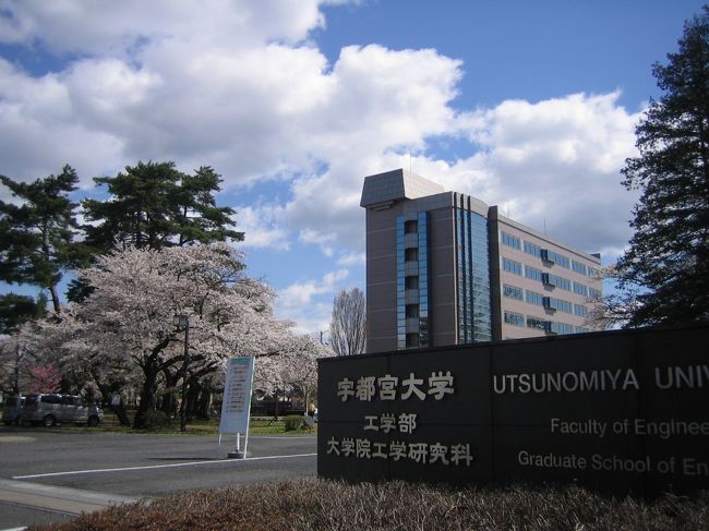 2014年昨年の桜です。（宇都宮大学工学部の桜が大好きなので主人と見に行きました）