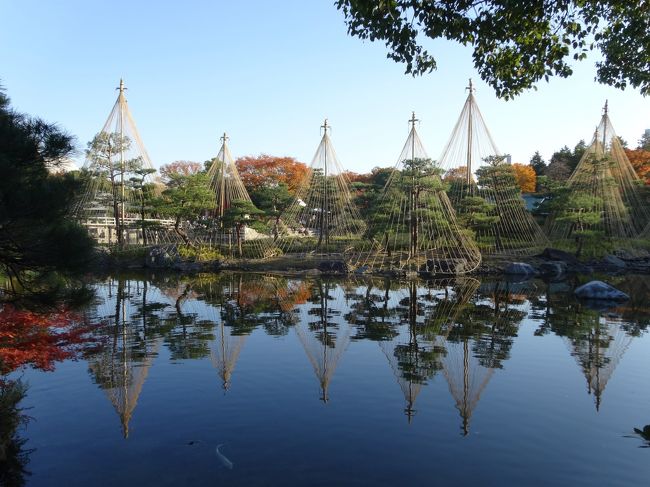 白鳥庭園に行ってきました。<br />「池泉回遊式」の「日本庭園」です。