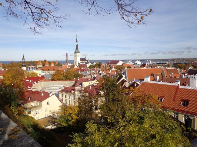 フィンランド（ヘルシンキ）、エストニア（タリン）の二カ国を駆け足で周りました。<br /><br />中世の面影が色濃く残るタリンの旧市街歴史地区を、約２時間散策しました。