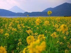 2014年12月　年末九州電車の旅　鹿児島～指宿