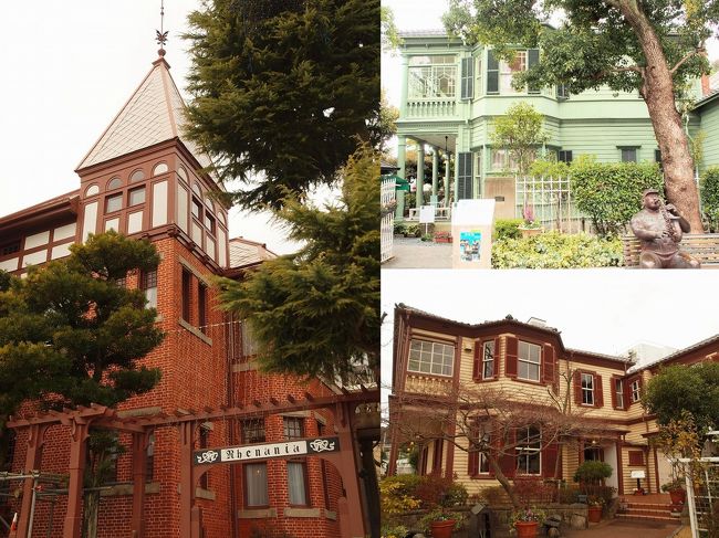 4年近く前に購入した北野異人館の9館特選入館券。<br /><br />いつでも行けるしと思って購入したのですが、引っ越しなどがありなかなか行く機会がありませんでした。<br /><br />そろそろ行っておかないと行かないままになりそう。。。<br /><br />1人でぶらりと北野異人館めぐりをしてきました。<br /><br />まずは無料のラインの館<br /><br />9館特選入場券とは関係のない風見鶏の館と萌黄の館を見学することにしました。<br /><br /><ふーの異人館巡り><br />☆オランダ館 デンマーク館 ウィーンオーストリア館(2009.3)<br />http://4travel.jp/traveler/rinto/album/10320250/<br /><br />☆異人館カフェ パラスティン邸(2011.3)<br />http://4travel.jp/traveler/rinto/album/10552781/<br /><br />☆旧パナマ領事館 旧中国領事館(2011.3)<br />http://4travel.jp/traveler/rinto/album/10553219<br /><br />☆仏蘭西館 ベンの家(2011.3)<br />http://4travel.jp/traveler/rinto/album/10554387<br /><br />☆英国館 BAR king of kings(2011.3)<br />http://4travel.jp/travelogue/10555246<br /><br />★ラインの館 風見鶏の館 萌黄の館(2015.1)<br />こちらの旅行記です<br /><br />☆山手八番館 北野外国人倶楽部 うろこの家・うろこ美術館(2015.1)<br />http://4travel.jp/travelogue/10973738<br /><br />☆イタリア館(プラトン装飾美術館)(2016.12)<br />http://4travel.jp/travelogue/11202587
