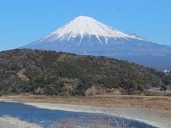 熱海の梅園もうすぐ見頃