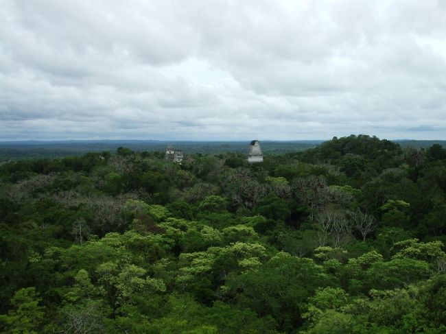 ◆旅跡（タビアト）◆<br />■１日目（2013/5/18）：成田〜【カナダ】バンクーバー〜【メキシコ】メキシコ・シティ<br />■２日目（2013/5/19）：メキシコ・シティ<br />■３日目（2013/5/20）：メキシコ・シティ〜テオティワカン〜メキシコ・シティ〜（パレンケ）<br />■４日目（2013/5/21）：（メキシコ・シティ）〜パレンケ<br />■５日目（2013/5/22）：パレンケ〜メリダ<br />■６日目（2013/5/23）：メリダ〜クサマ〜メリダ<br />■７日目（2013/5/24）：メリダ〜チチェン・イツァ〜カンクン<br />■８日目（2013/5/25）：カンクン〜（【ベリーズ】コロザル）<br />■９日目（2013/5/26）：（カンクン）〜コロザル〜ベリーズ・シティ〜キー・カーカー<br />■10日目（2013/5/27）：キー・カーカー〜ベリーズ・シティ〜【グアテマラ】フローレス<br />★11日目（2013/5/28）：フローレス〜ティカル遺跡〜フローレス〜（グアテマラ・シティ）<br />□12日目（2013/5/29）：（フローレス）〜グアテマラ・シティ〜アンティグア<br />□13日目（2013/5/30）：アンティグア〜【ホンジュラス】コパン・ルイナス〜コパン遺跡〜コパン・ルイナス<br />□14日目（2013/5/31）：コパン・ルイナス〜【エルサルバドル】サン・サルバドル<br />□15日目（2013/6/1）：サン・サルバドル〜【アメリカ】ワシントンＤ．Ｃ．<br />□16日目（2013/6/2）：ワシントンＤ．Ｃ．〜成田<br /><br />１１日目、早朝からティカル遺跡へ。<br />この日ティカル遺跡へ行った日本人は３人で、その３人ともがたまたま同じ旅行会社でティカルへの送迎を申し込んだとゆう。<br />いや〜、偶然って凄いね。。。<br /><br />（大きい地図はこちら）<br />http://atsu.d.dooo.jp/roaming/kaigai/12_CentralAmerica/CentralAmerica.htm<br /><br />（日記はこちら）<br />http://ameblo.jp/atsuuu/entry-11889348865.html