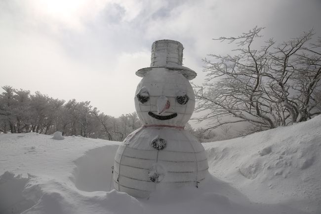 イルカ　御在所岳　樹氷へ行って来ました<br />天気予報を見て日を選び　本日念願の樹氷へ...<br />朝6：00自宅発　9：00着（9:00より運行開始）<br />ロープーウェイ約20分並びました<br />鈴鹿で高速降りてから雪景色で大満足！！<br />御在所岳　樹氷も最高！！<br />天候は曇り　ほんの時々晴れ<br />満喫してきました